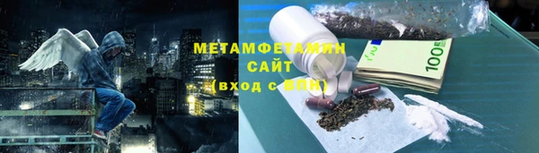 крисы Инта