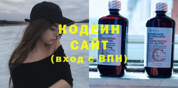 крисы Инта