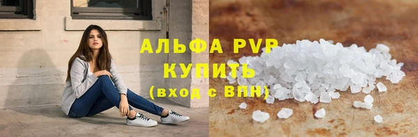 крисы Инта