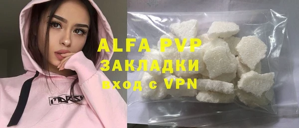 крисы Инта