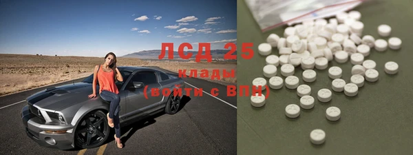 крисы Инта