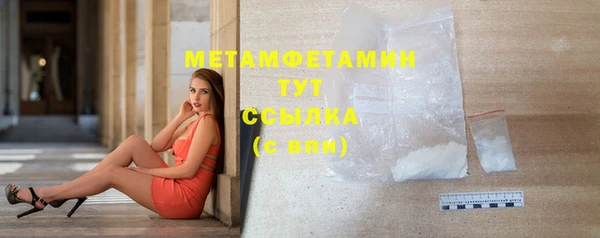 крисы Инта