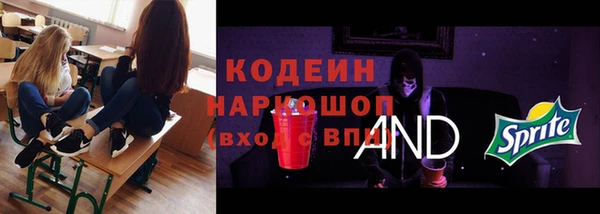 ешки Иннополис