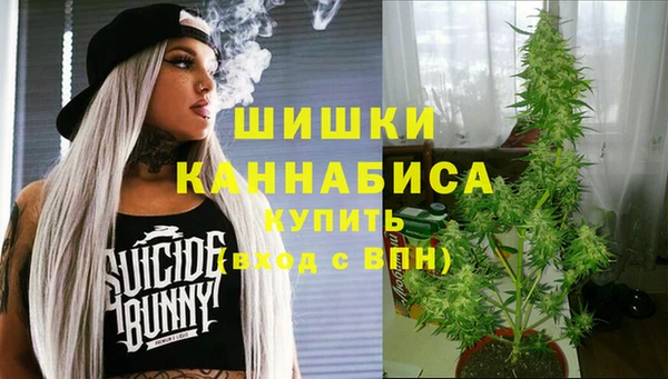 крисы Инта