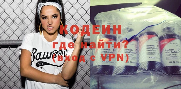 ешки Иннополис