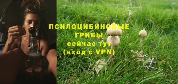 ешки Иннополис
