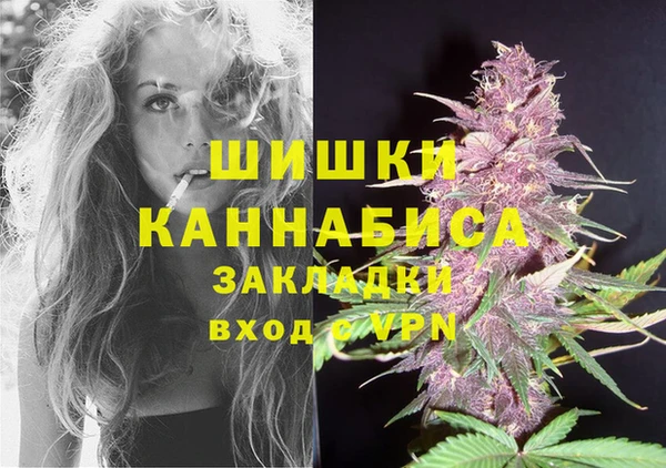 ешки Иннополис