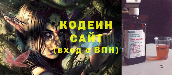 крисы Инта