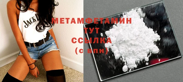 крисы Инта