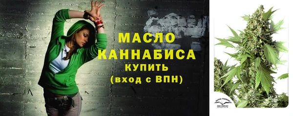 ешки Иннополис