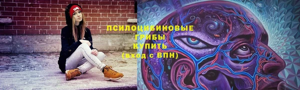 ешки Иннополис