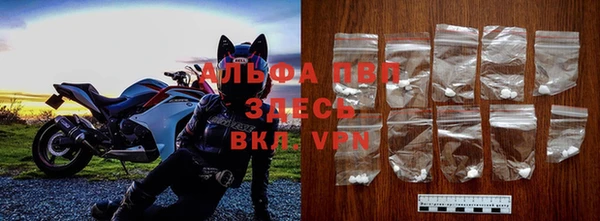 крисы Инта