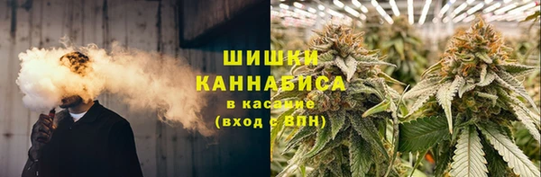 крисы Инта