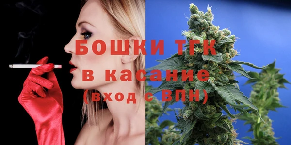 крисы Инта