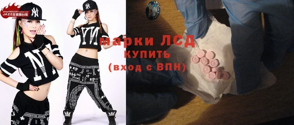 крисы Инта