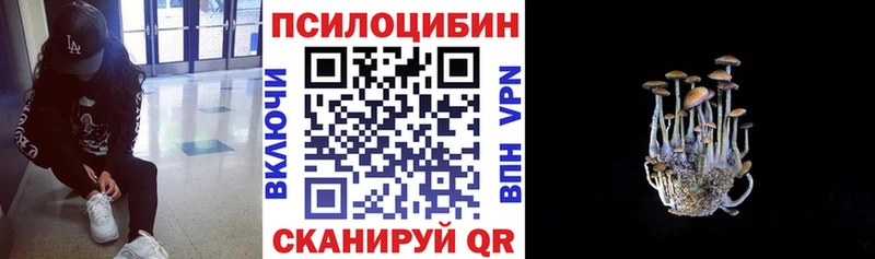 Галлюциногенные грибы Psilocybine cubensis  Уварово 